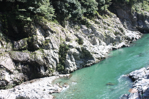 緑葉期の阿波・大歩危峡「渓谷美と渓流」/癒し憩い画像データベース
