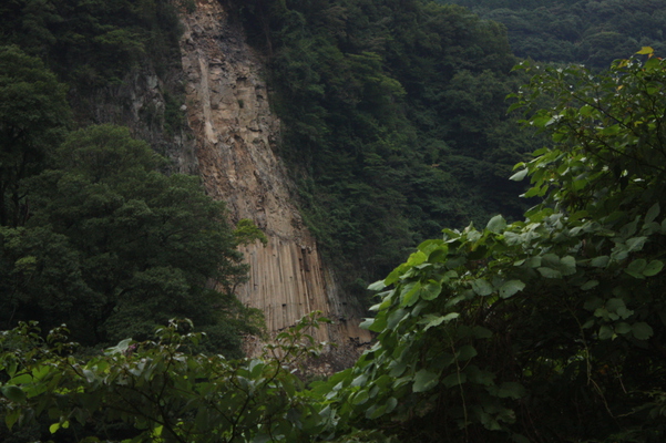 ��ɡ�Ω���ë���ǳ������������/�����Ƥ������ǡ����١���