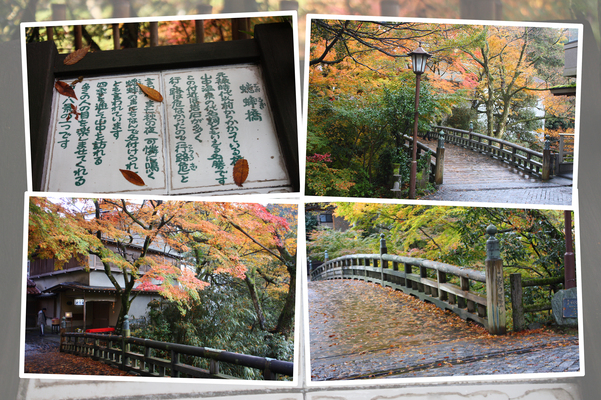 山中温泉「こおろぎ橋」と紅葉