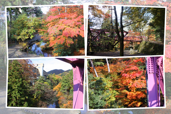 山中温泉「あやとり橋」と秋模様