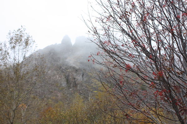 霧の有珠山と秋の木立
