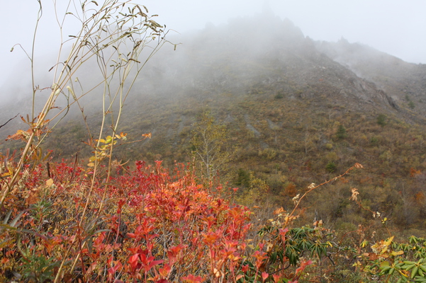 有珠山の紅葉と秋霧