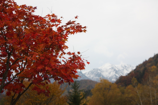 層雲峡の紅葉と積雪の山