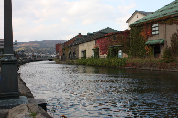 紅葉のツタが這う小樽運河の倉庫