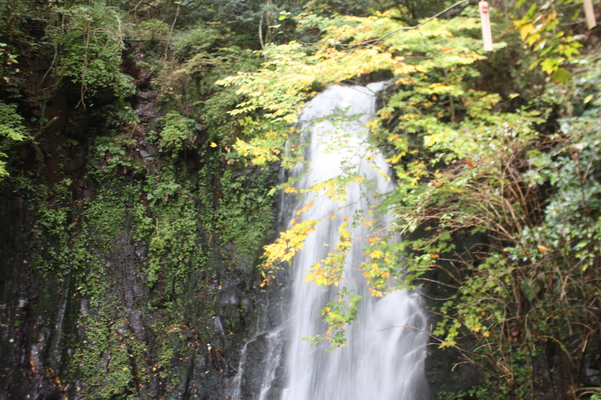 「天狗の滝」の黄葉と滝口