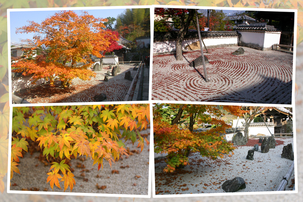 光明禅寺「仏光石庭」の秋模様