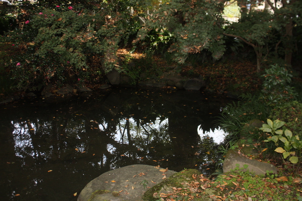 古寺・長福寺の庭を映す水面