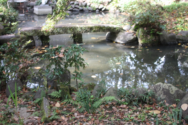 古寺・長福寺の「地泉回遊式庭園」