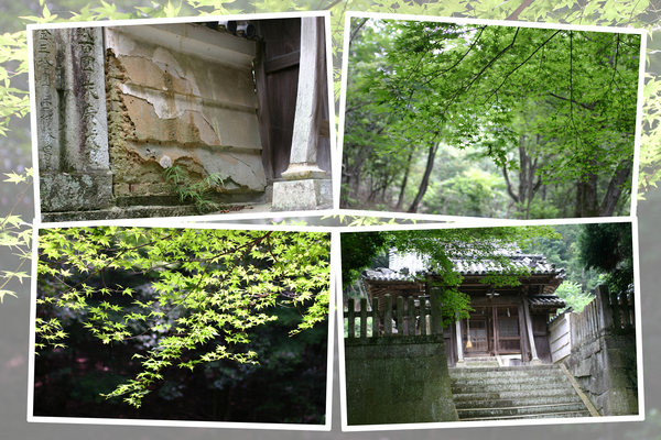 夏の緑葉に囲まれた龍野神社