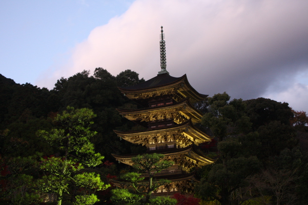 夕方の瑠璃光寺「五重塔」