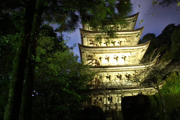 ライトアップされた瑠璃光寺「五重塔」