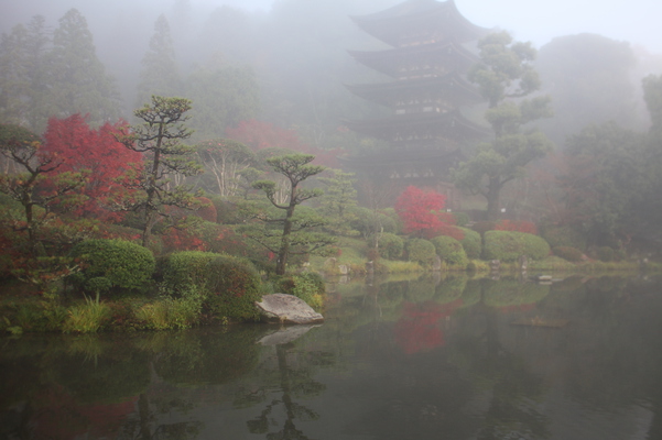 朝霧に霞む瑠璃光寺「五重塔」