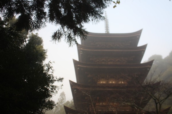 朝霧に霞む瑠璃光寺「五重塔」