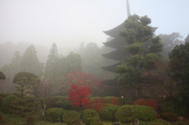 朝霧と瑠璃光寺「五重塔」