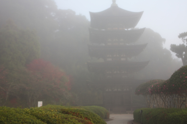 霧の瑠璃光寺「五重塔」