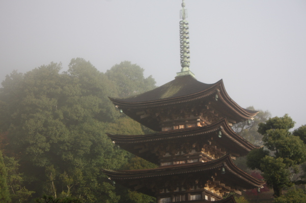 朝霧と瑠璃光寺「五重塔」