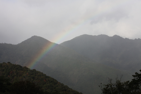 屋久島の虹