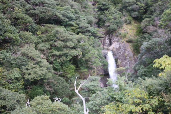 屋久島「竜神の滝」