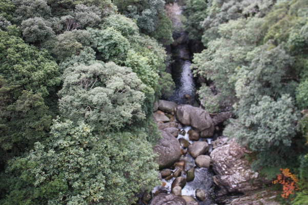 屋久島の「竜神の滝」