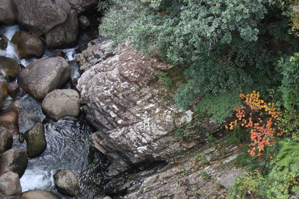 屋久島「竜神の滝」下流の渓谷