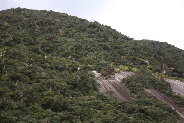 屋久島「千尋の滝」の一枚岩