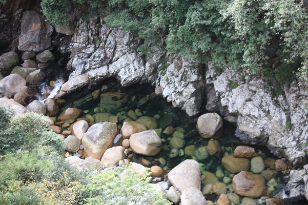屋久島「竜神の滝」下流の渓流