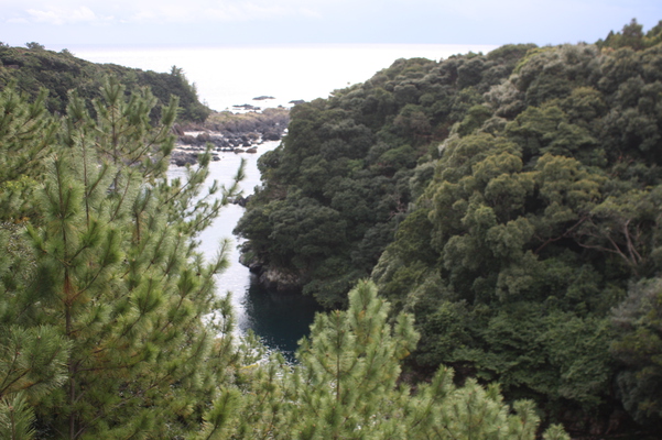屋久島「竜神の滝」下流の渓流と海