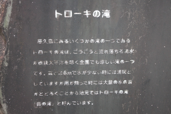 屋久島「トローキの滝」