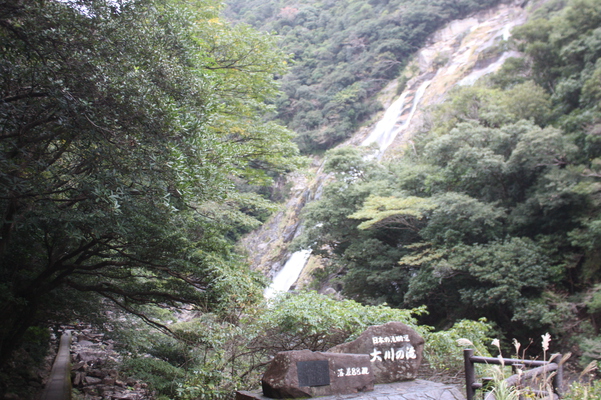屋久島の「大川の滝」遠望