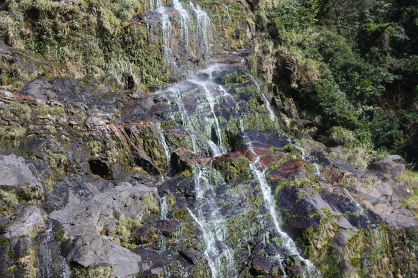 滝の飛沫に濡れる苔類
