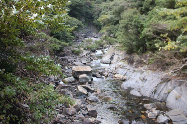 屋久島の「大川の滝」からの渓流