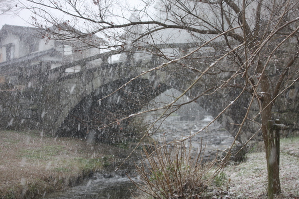 秋月「目鏡橋」と吹雪