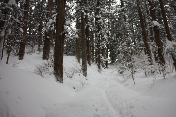 積雪の「羽黒山参道」と杉並木