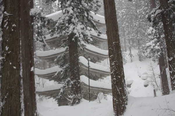 積雪の杉林と五重塔