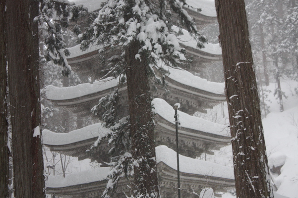 積雪の杉林と五重塔