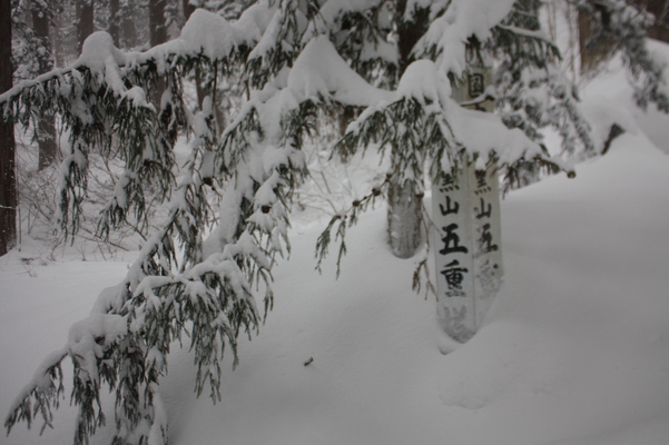 雪に覆われた国宝羽黒山「五重塔」標識
