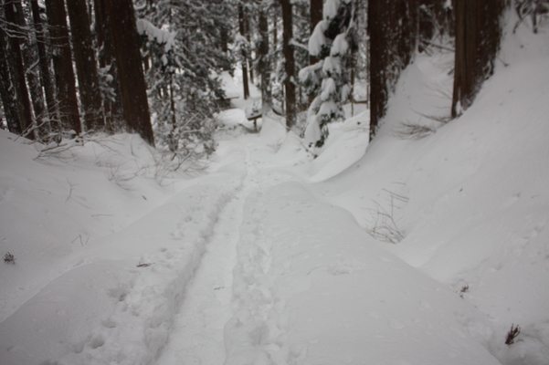 積雪の「羽黒山参道」と杉並木