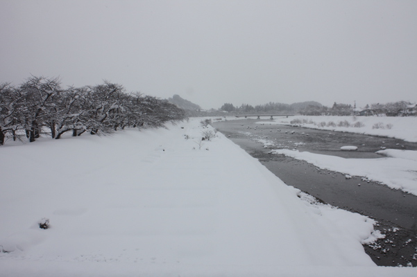 角館「桧木内川」の冬景色