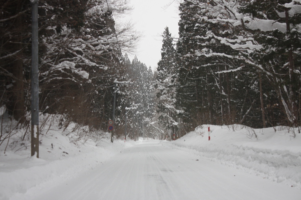 積雪の田沢湖畔の車道