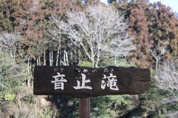 冬木立と「音止の滝」標識