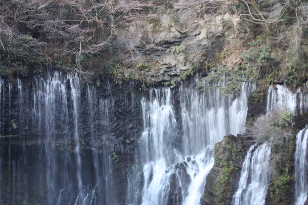 冬期の「白糸の滝」の「岩間から流れ落ちる滝筋」