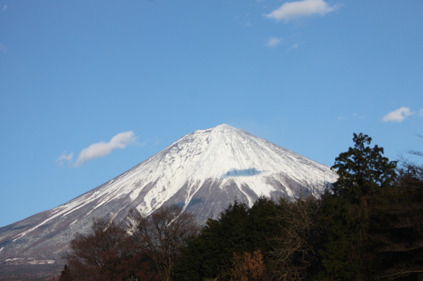 「白糸の滝」付近から見た冬の富士山