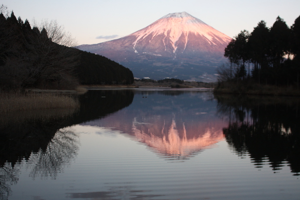 田貫湖に映る「冬の逆さ富士」/癒し憩い画像データベース