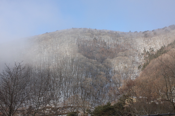 積雪の山腹と朝霧/癒し憩い画像データベース