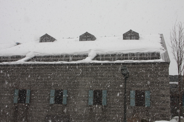 降る雪と小樽倉庫