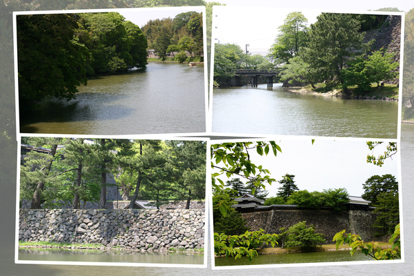 春の松江城の堀と石垣