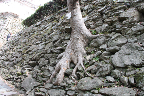 ����г����礦����/�����Ƥ������ǡ����١���