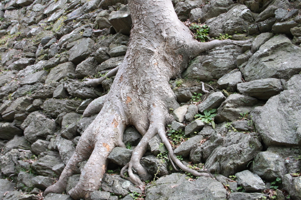 �г������ڤκ�/�����Ƥ������ǡ����١���