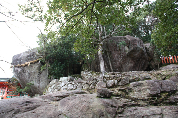 「ゴトビキ岩」と神倉神社/癒し憩い画像データベース