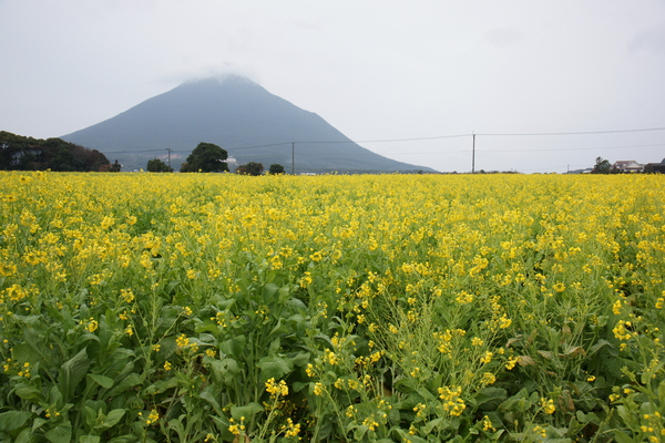 ��ʹ�٤Ⱥڤβ�Ȫ/�����Ƥ������ǡ����١���